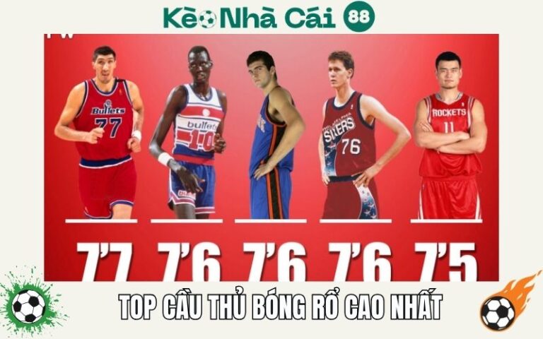 Top Cầu Thủ Bóng Rổ Cao Nhất Trong Lịch Sử - Những Con Ong Khổng Lồ 8 Top Cầu Thủ Bóng Rổ Cao Nhất Trong Lịch Sử - Những Con Ong Khổng Lồ